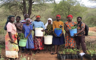 YLP Graduates Initiate a Tree Planting Project in Tanzania
